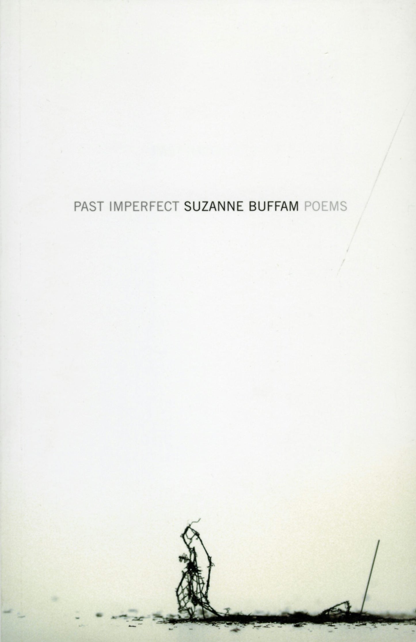 Book cover image for Past Imperfect ISBN: 9780887847264