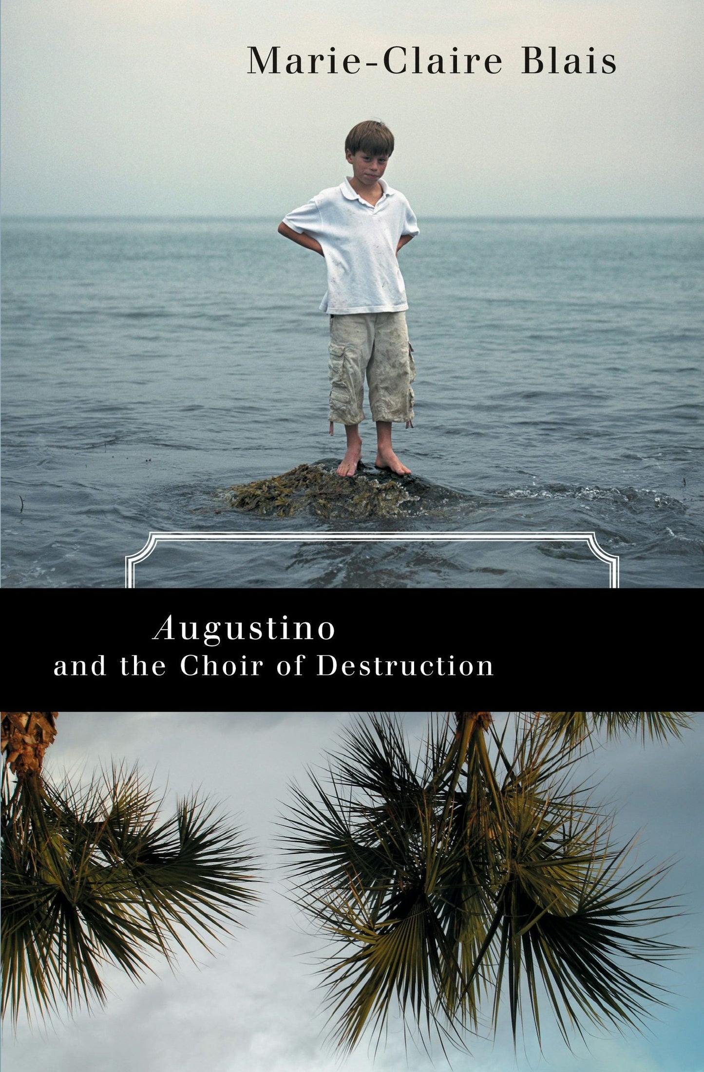 Book cover image for Augustino and the Choir of Destruction ISBN: 9780887847523