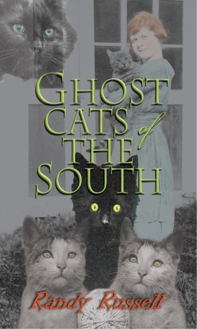 Book cover image for Ghost Cats of the South ISBN: 9780895875570