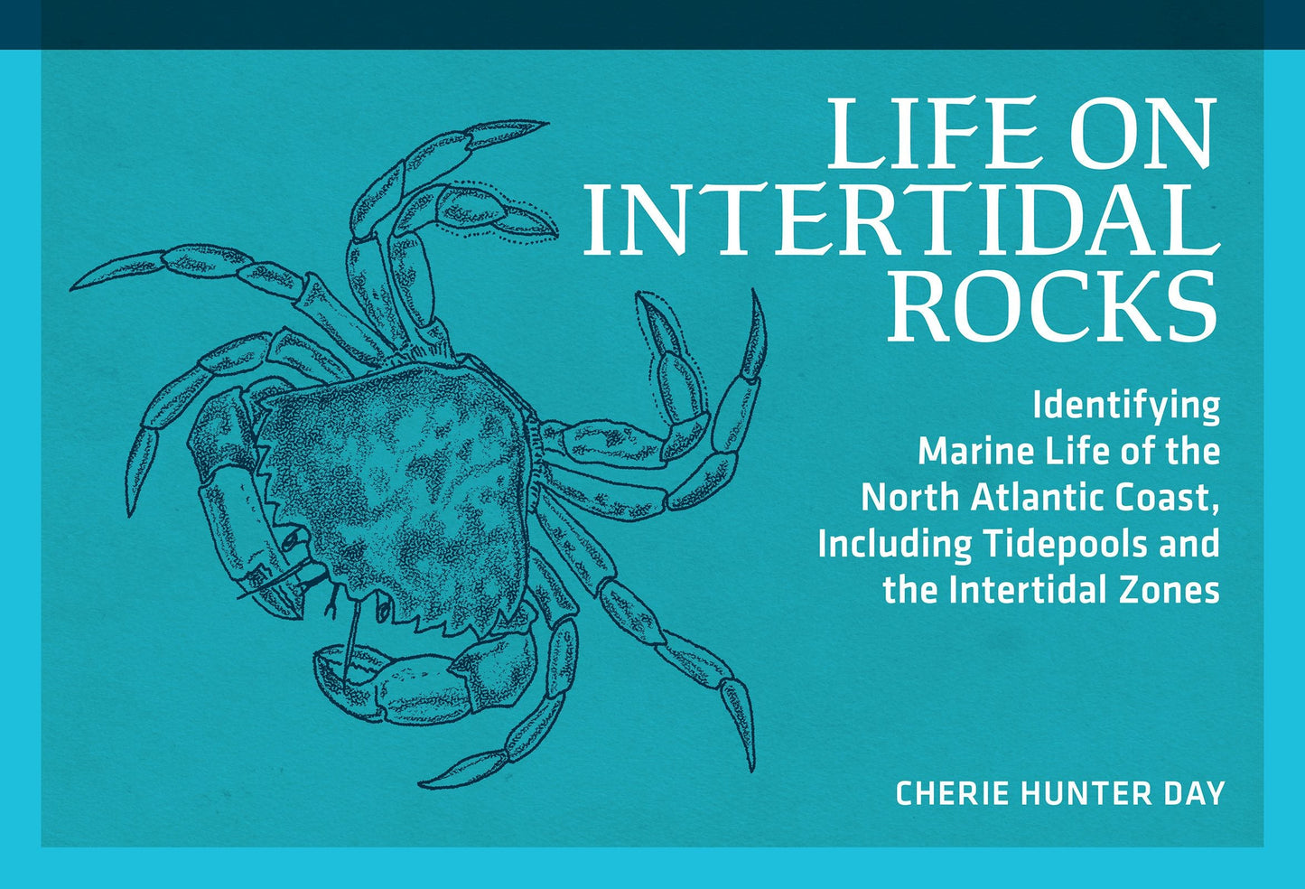 Book cover image for Life on Intertidal Rocks ISBN: 9780912550558