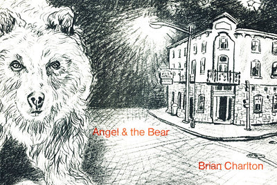 Cover image for Angel and the Bear, isbn: 9780919626133