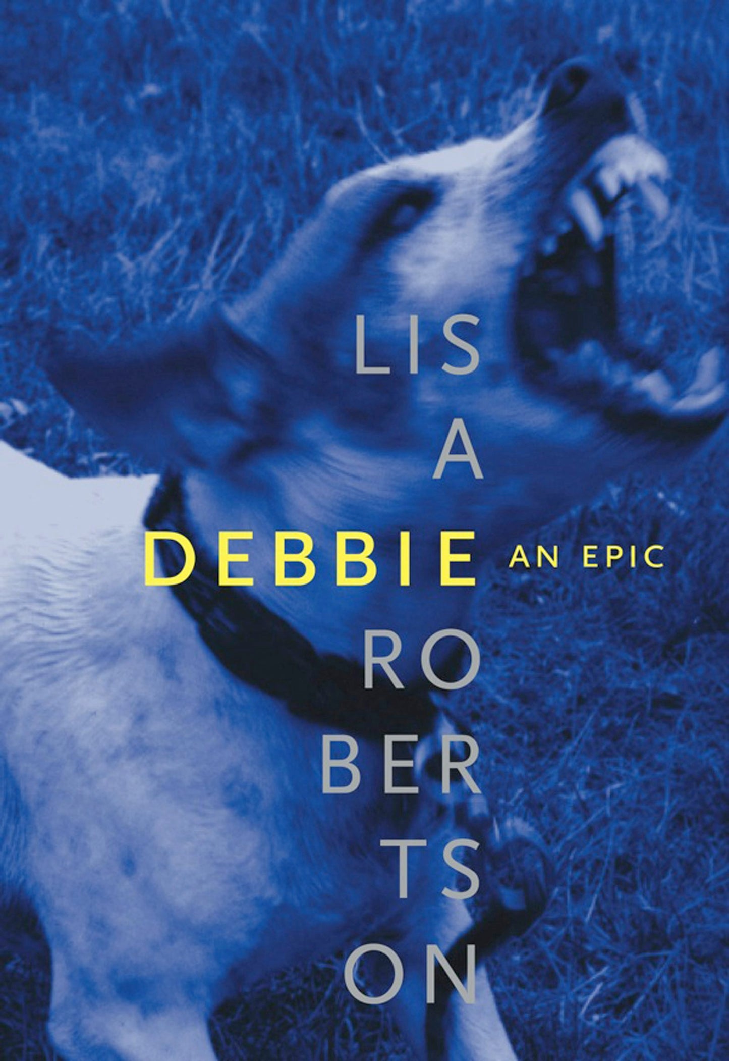 Book cover image for Debbie ISBN: 9780921586616