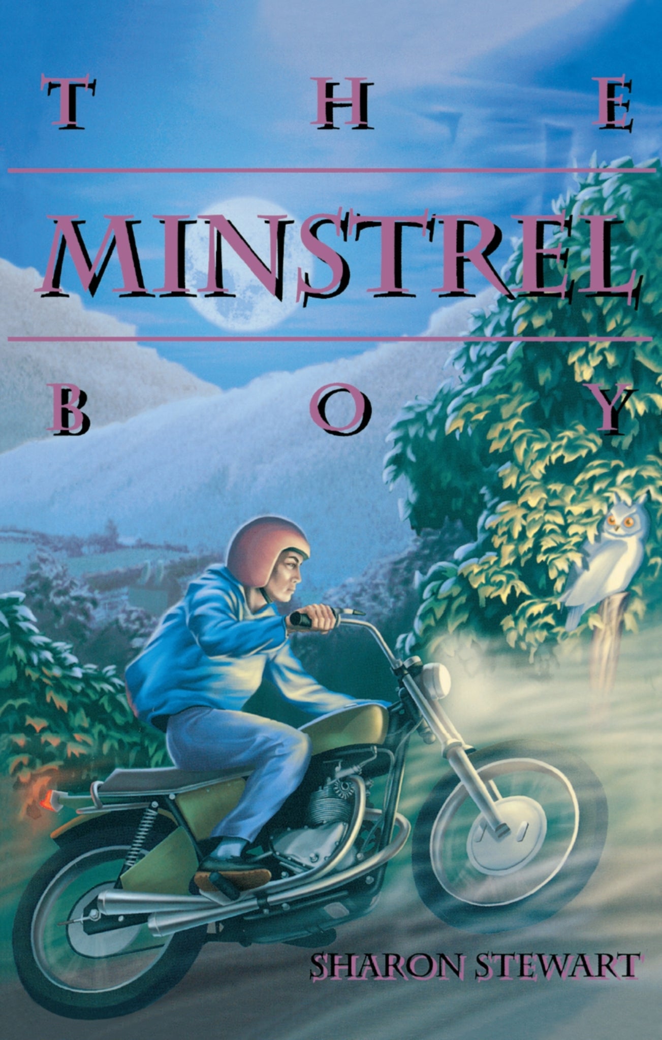 Cover image for The Minstrel Boy ISBN 9780929141541