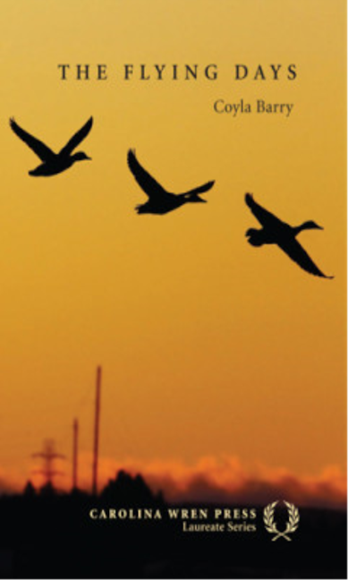 Book cover image for The Flying Days ISBN: 9780932112989