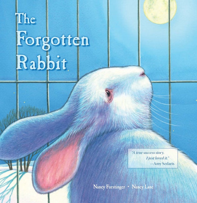Book cover image for The Forgotten Rabbit ISBN: 9780940719194
