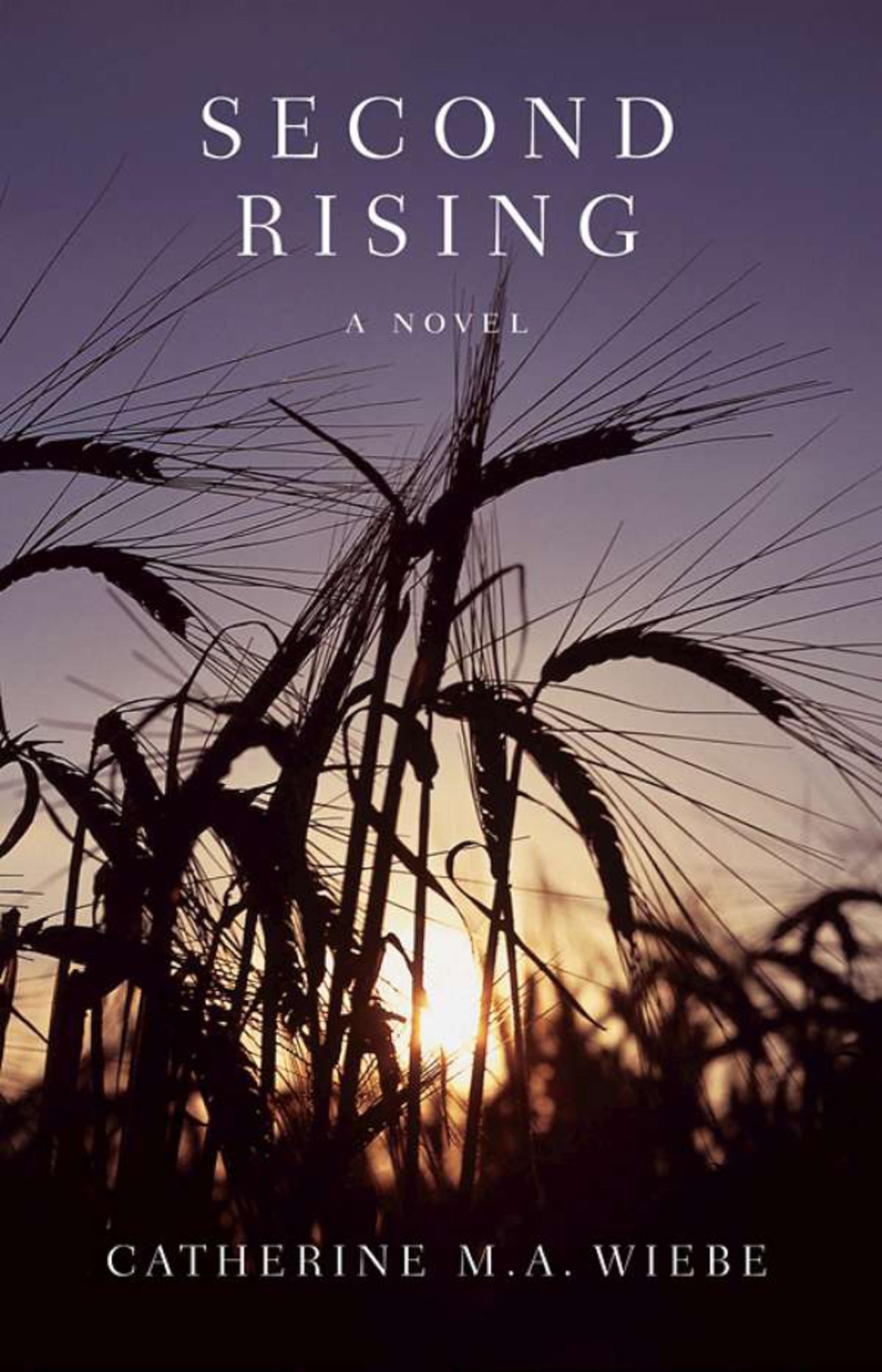 Cover image for Second Rising ISBN 9780978498245