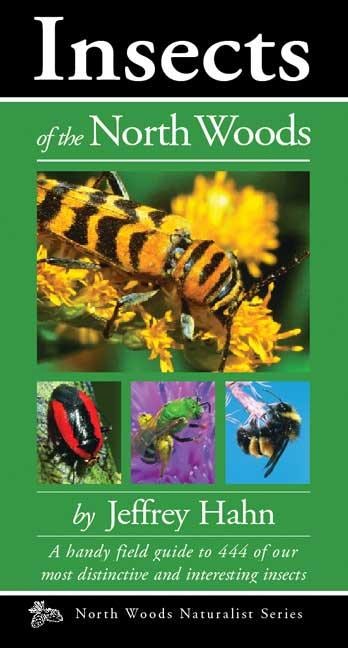 Cover image for Insects of the North Woods, isbn: 9780979200649