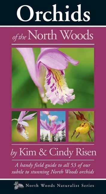 Cover image for Orchids of the North Woods, isbn: 9780979200670