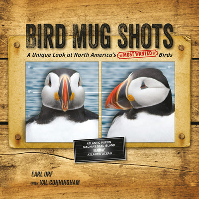 Cover image for Bird Mug Shots, isbn: 9780990915881