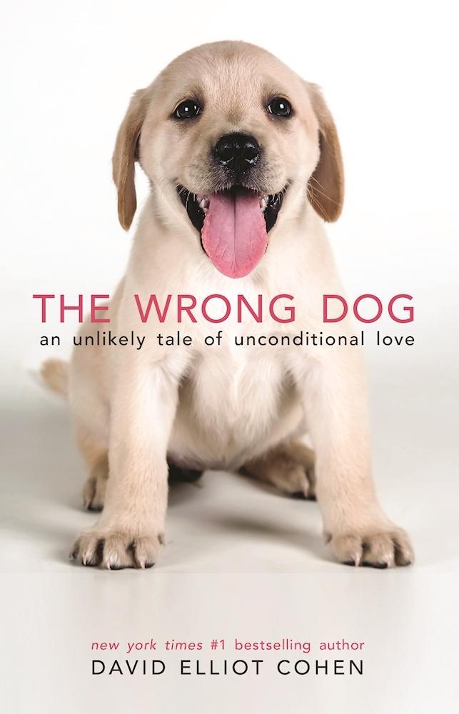 Book cover image for The Wrong Dog ISBN: 9780997066418