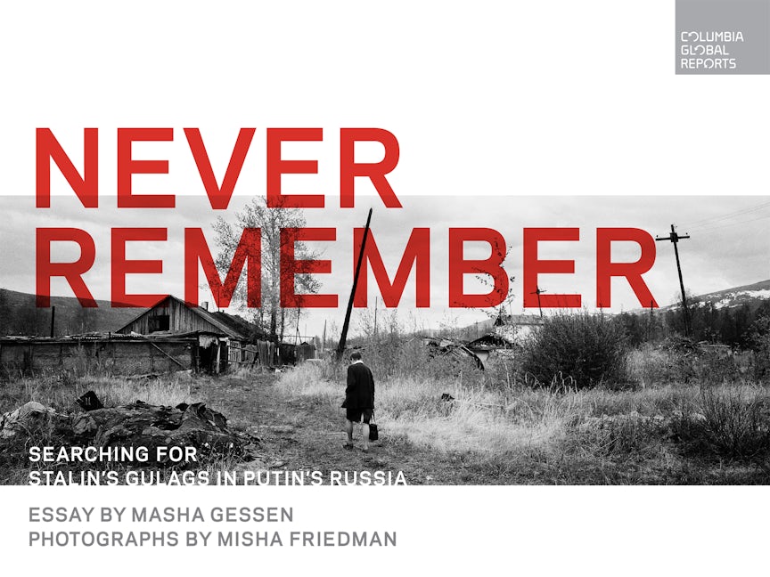 Book cover image for Never Remember ISBN: 9780997722963