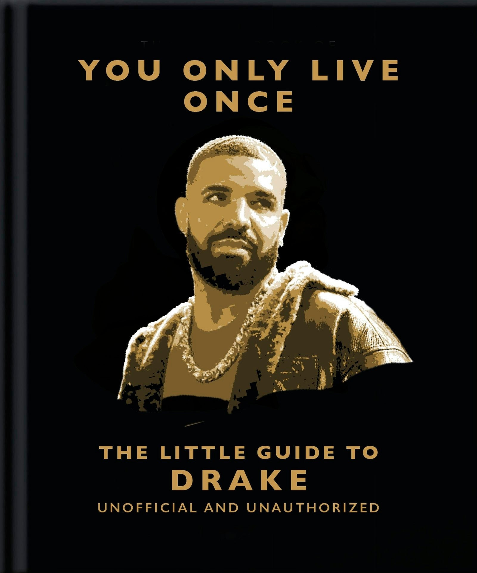 Book cover image for You Only Live Once: The Little Guide to Drake ISBN: 9781035423040