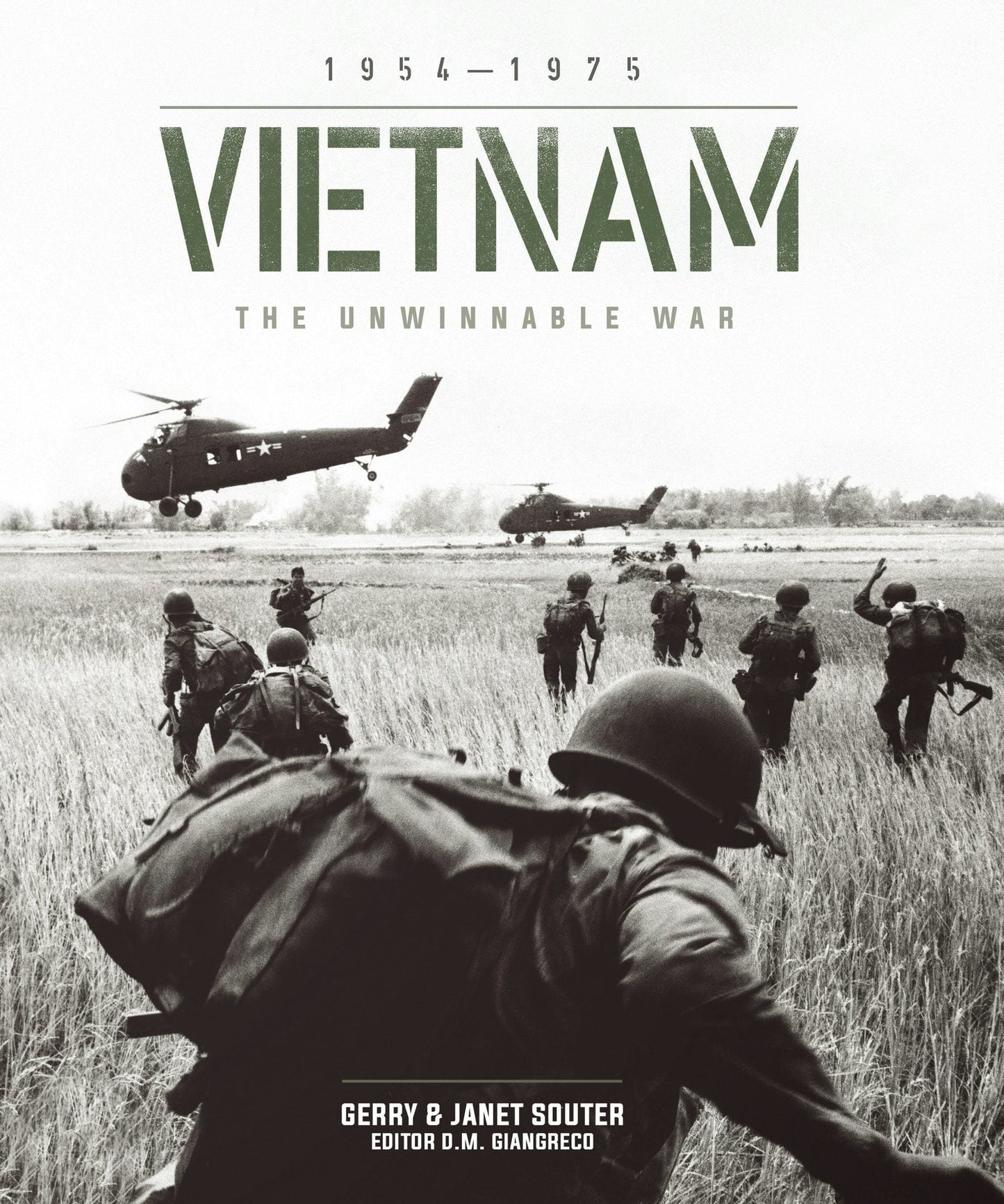 Book cover image for Vietnam ISBN: 9781035425525