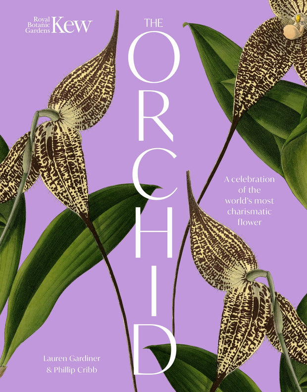 Cover image for The Orchid: Royal Botanic Gardens, Kew, isbn: 9781035427727