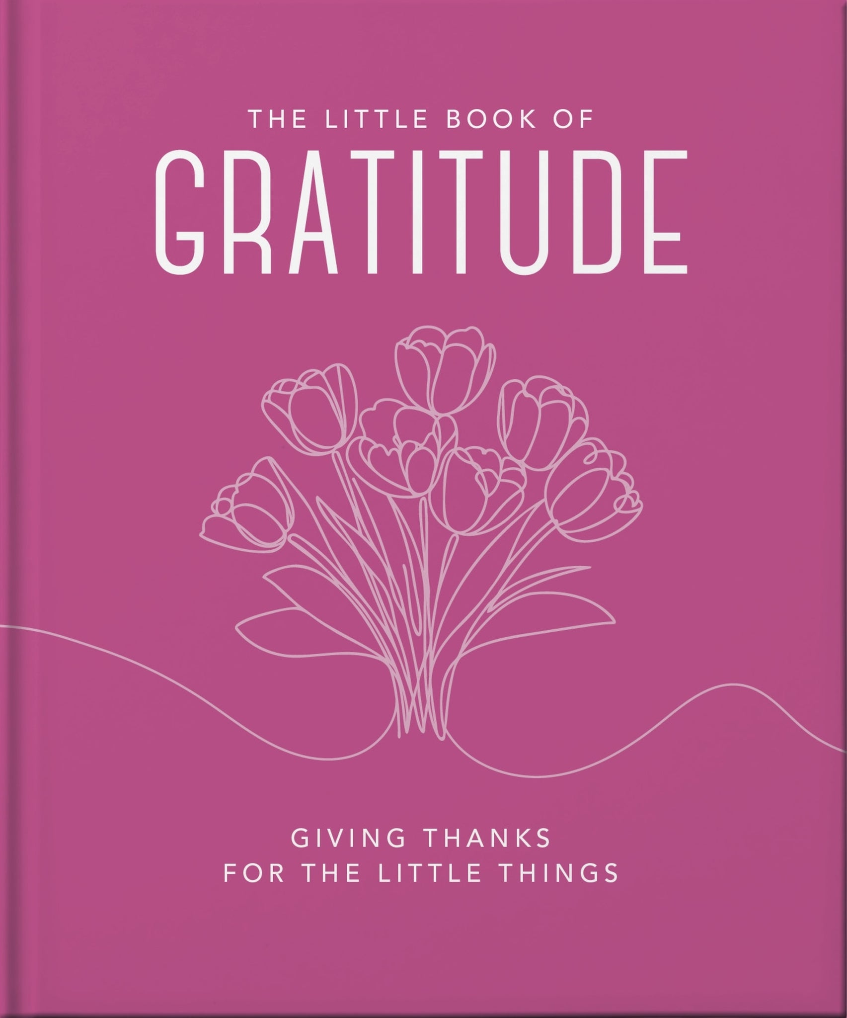 Cover image for The Little Book of Gratitude ISBN 9781035433490