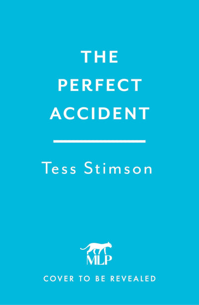 Cover image for The Perfect Accident, isbn: 9781035437108