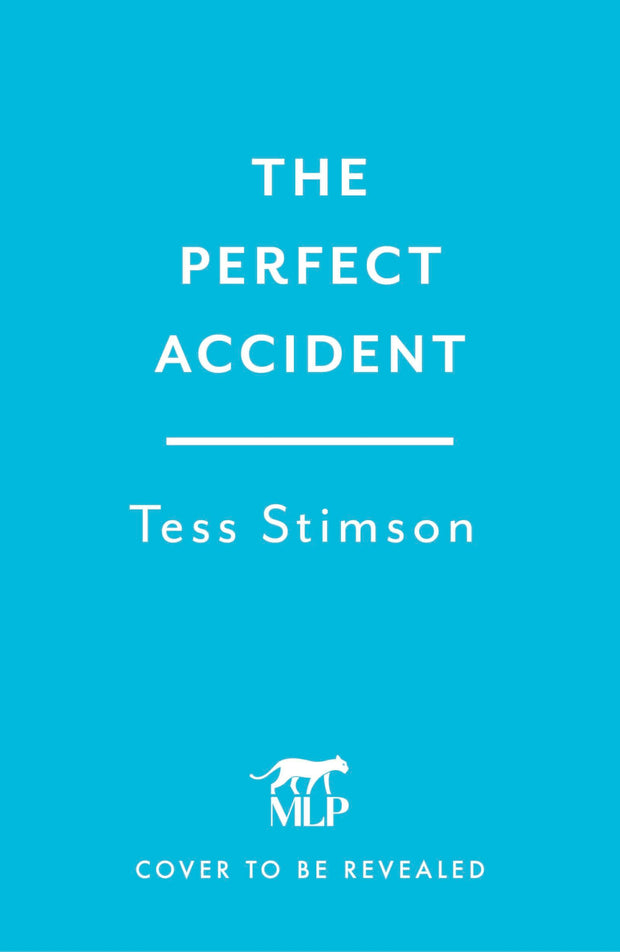 Cover image for The Perfect Accident, isbn: 9781035437108