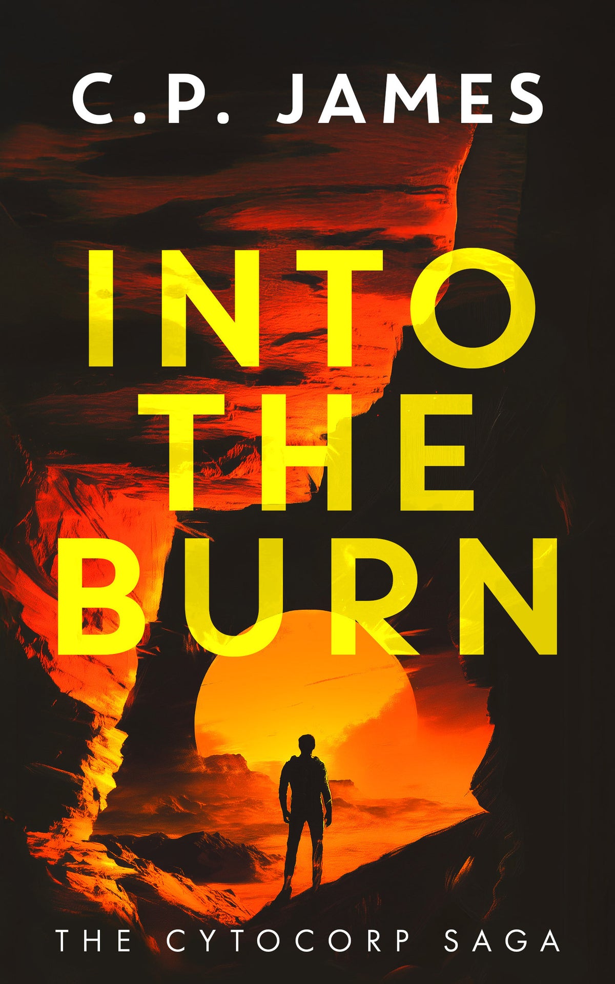 Cover image for Into the Burn ISBN 9781036701062
