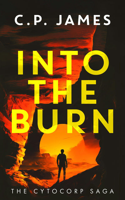 Cover image for Into the Burn, isbn: 9781036701062