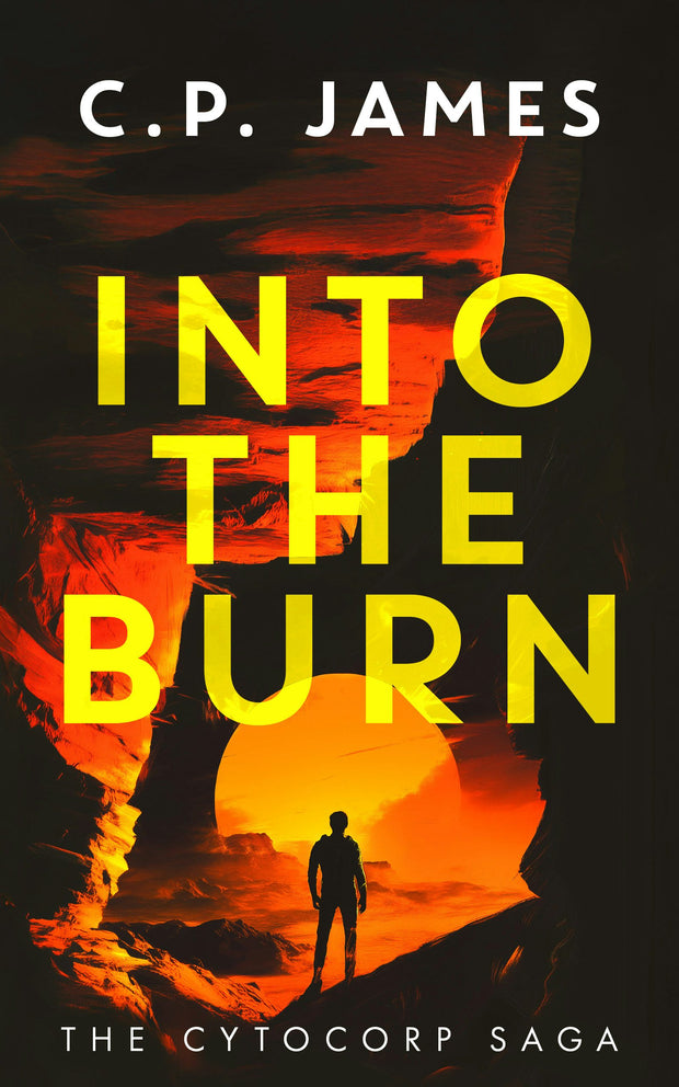 Cover image for Into the Burn, isbn: 9781036701062