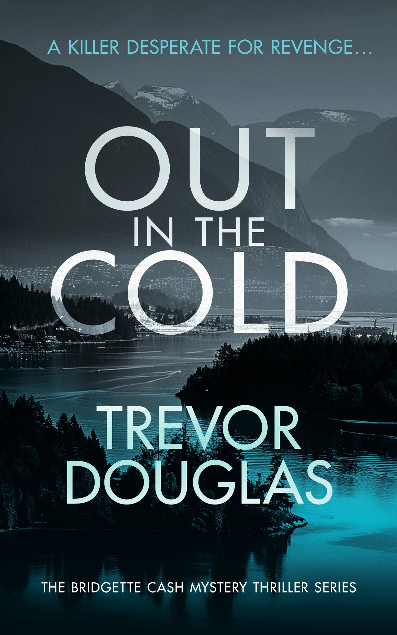 Cover image for Out In The Cold ISBN 9781036702038