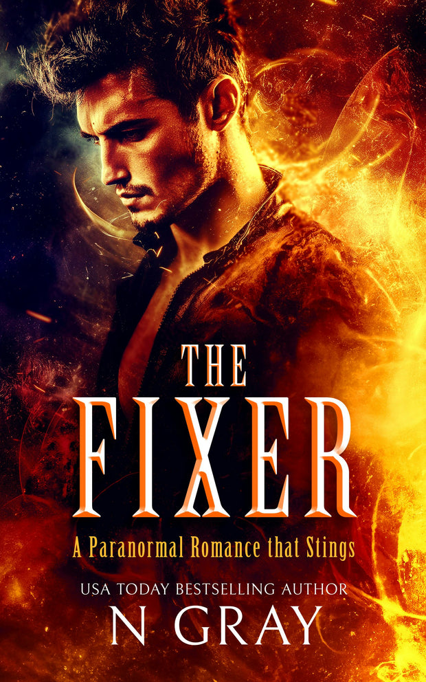 Cover image for The Fixer, isbn: 9781036702236