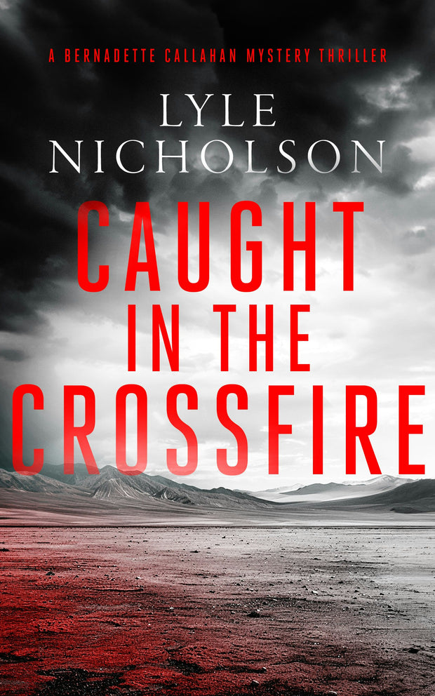 Cover image for Caught In The Crossfire, isbn: 9781036703646