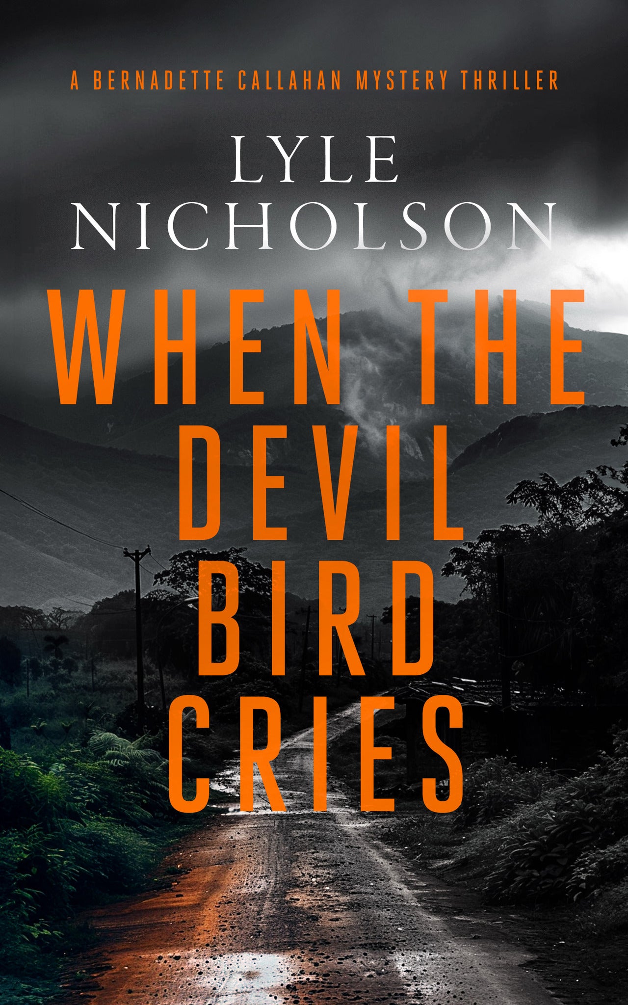 Cover image for When the Devil Bird Cries ISBN 9781036703660