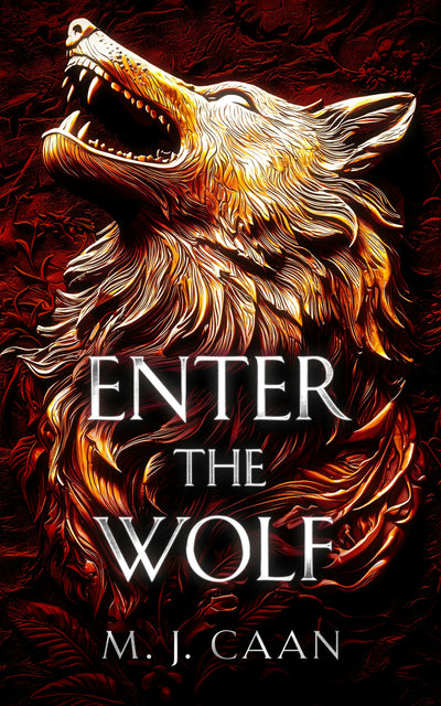 Cover image for Enter The Wolf, isbn: 9781036704476