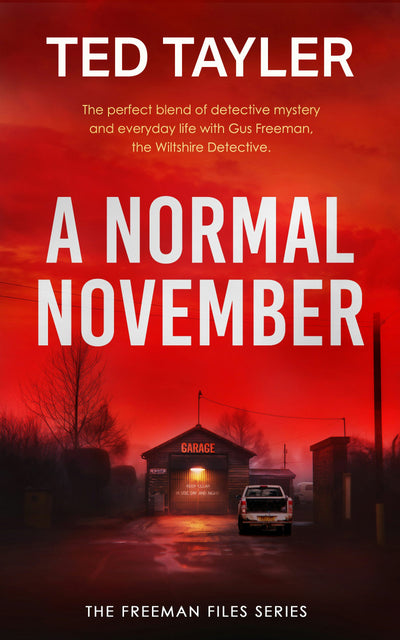 Cover image for A Normal November, isbn: 9781036705015