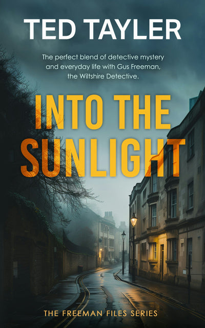 Cover image for Into The Sunlight, isbn: 9781036705022
