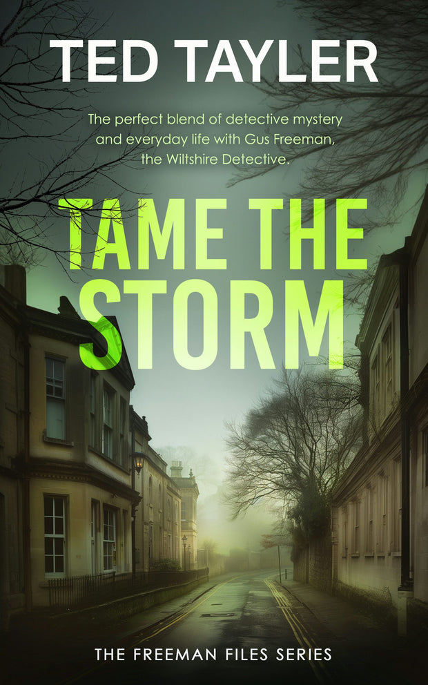 Cover image for Tame The Storm, isbn: 9781036705039