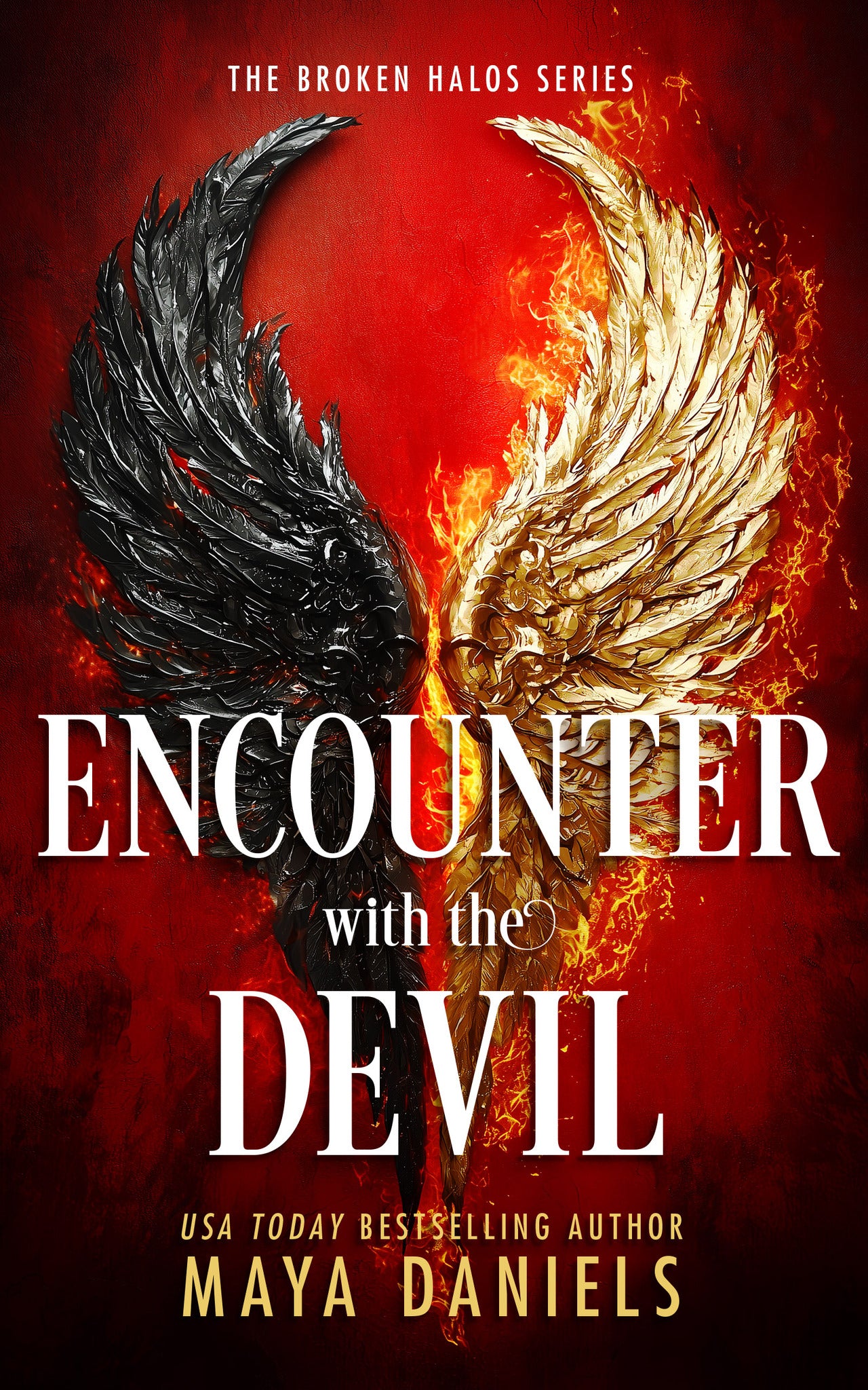 Cover image for Encounter with the Devil ISBN 9781036706678