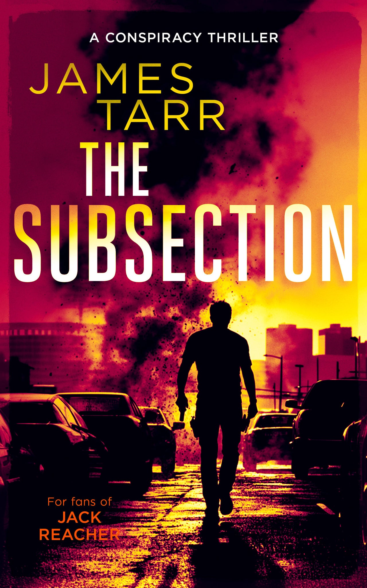 Cover image for The Subsection ISBN 9781036707156