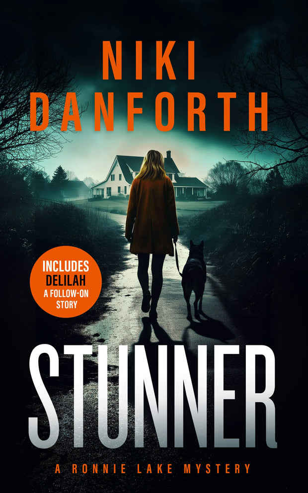 Cover image for Stunner, isbn: 9781036707378