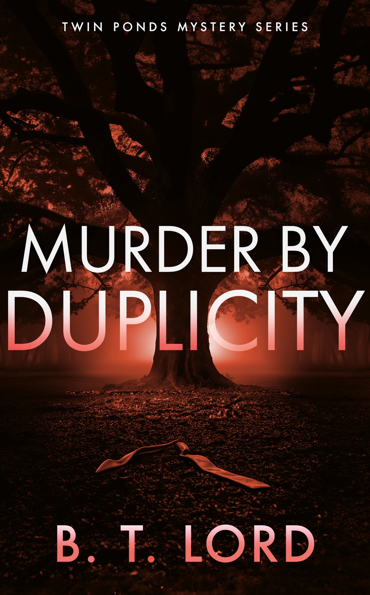 Cover image for Murder By Duplicity ISBN 9781036710873
