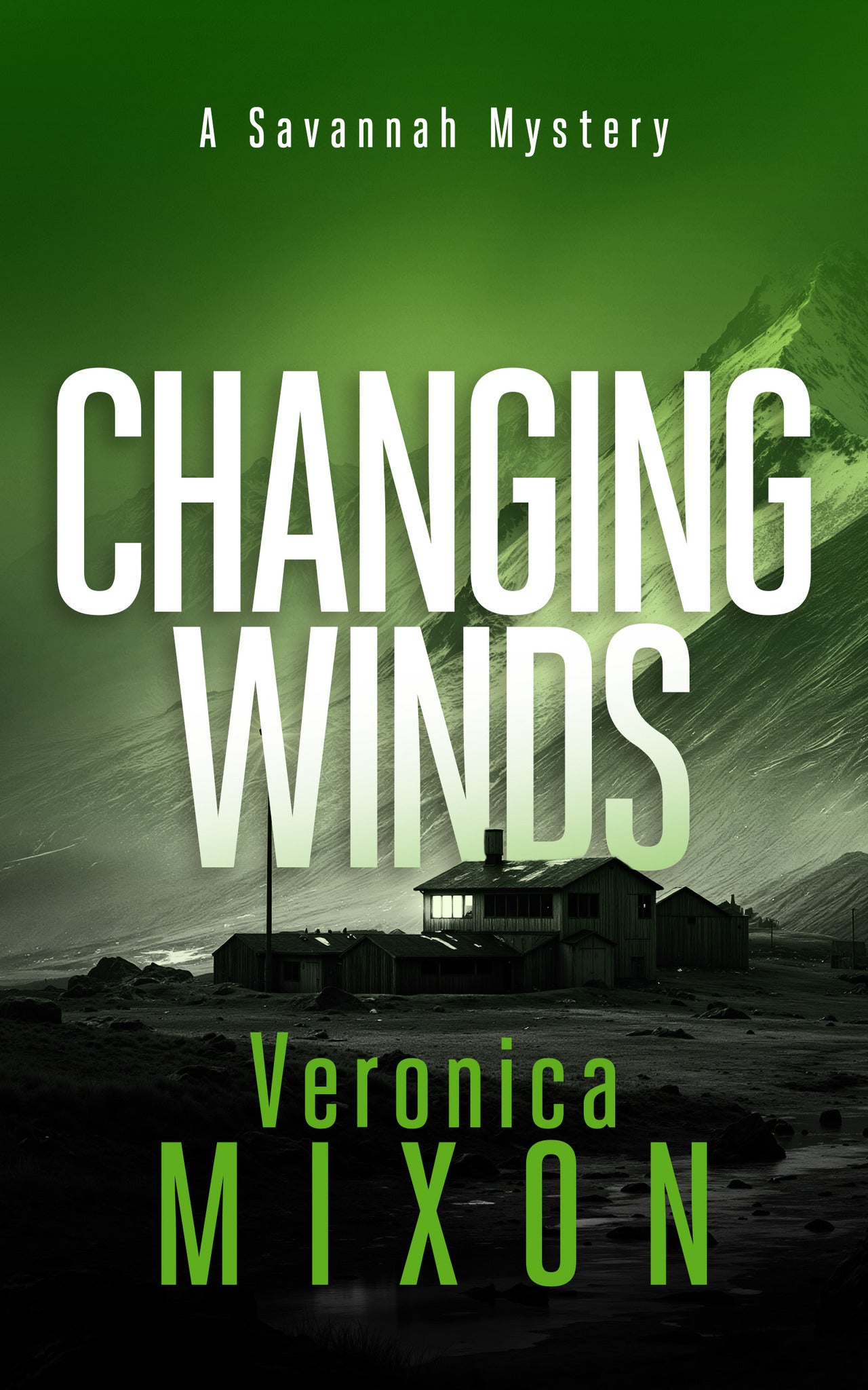Cover image for Changing Winds ISBN 9781036712815
