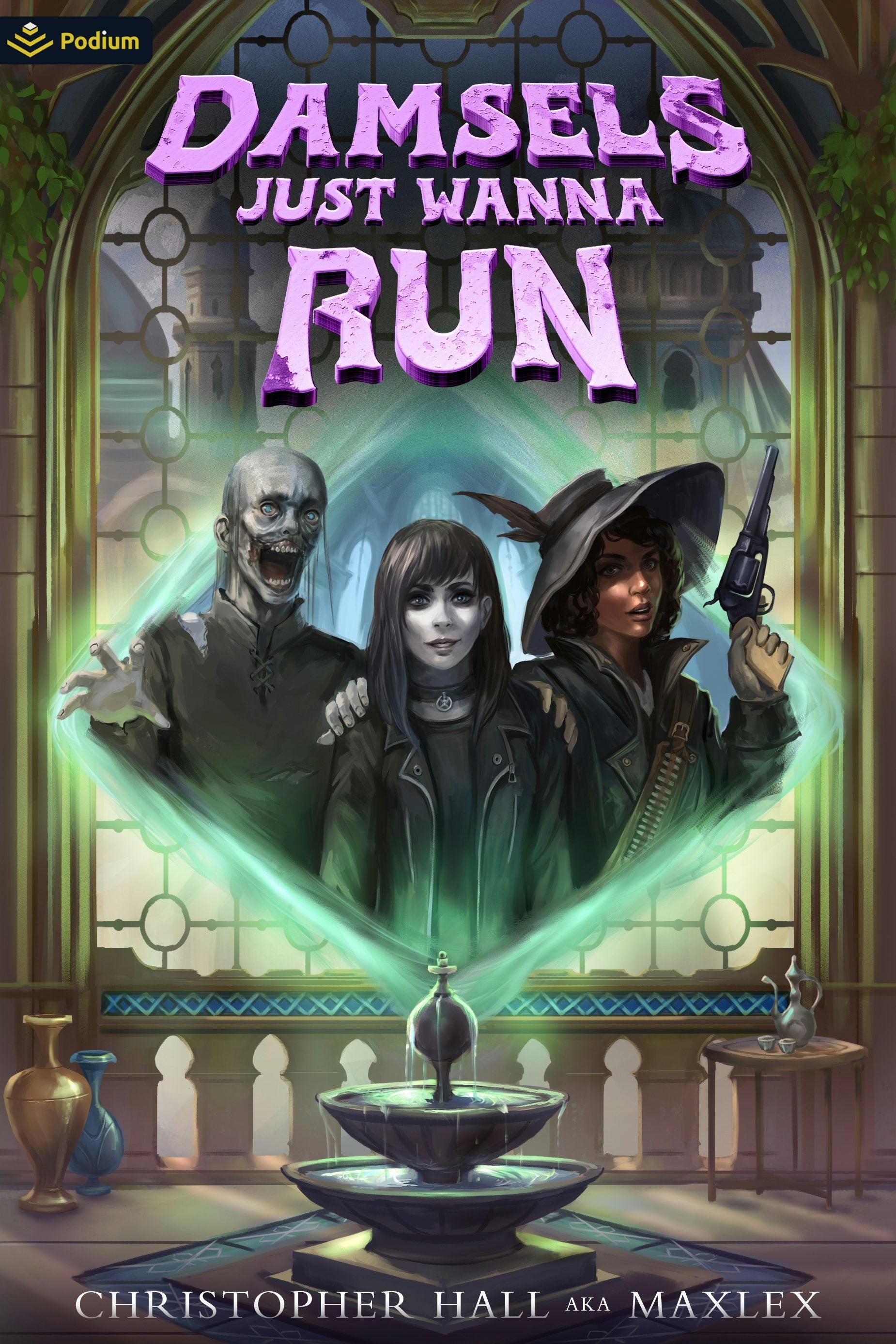 Book cover image for Damsels Just Wanna Run ISBN: 9781039465206