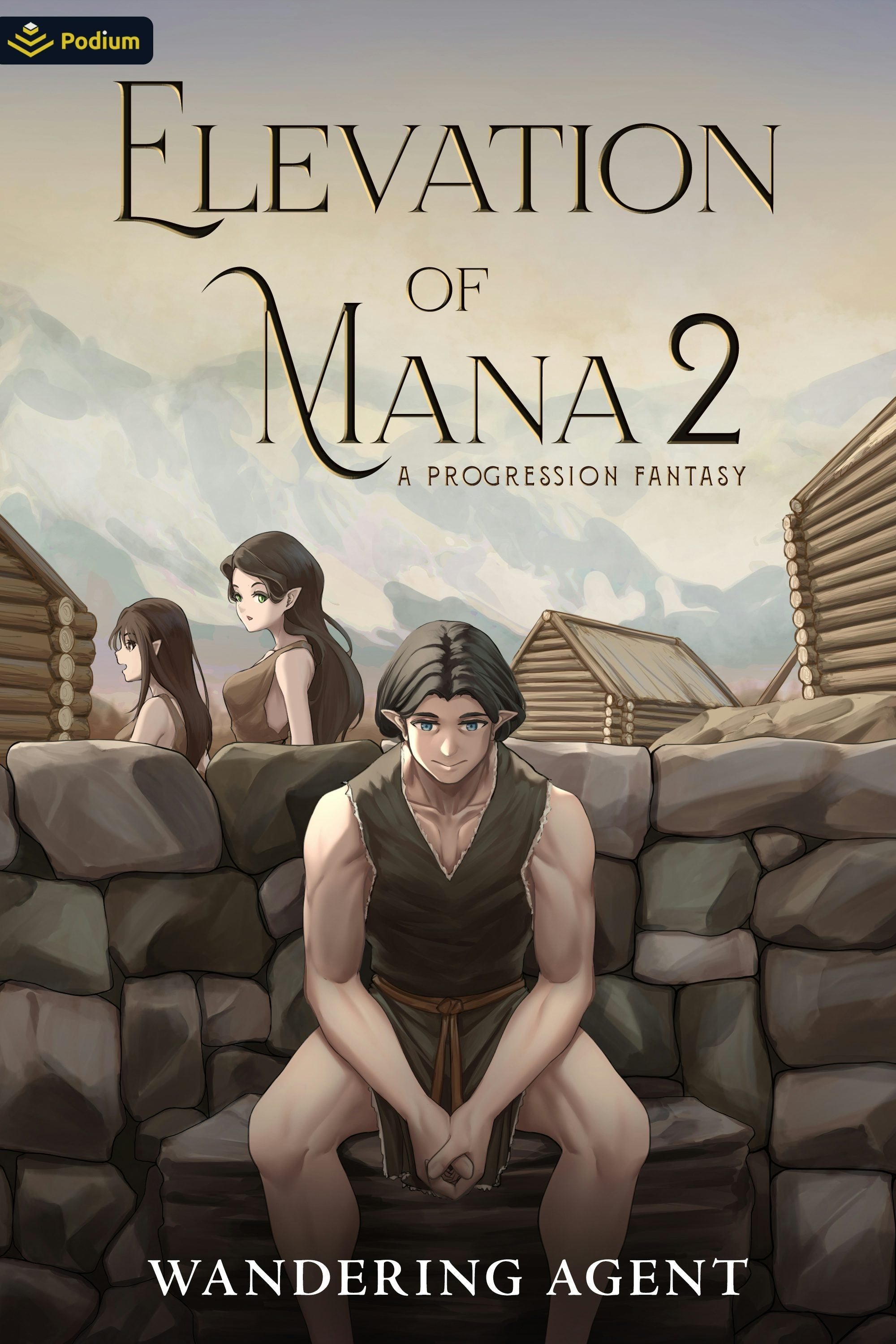 Book cover image for Elevation of Mana 2 ISBN: 9781039466548
