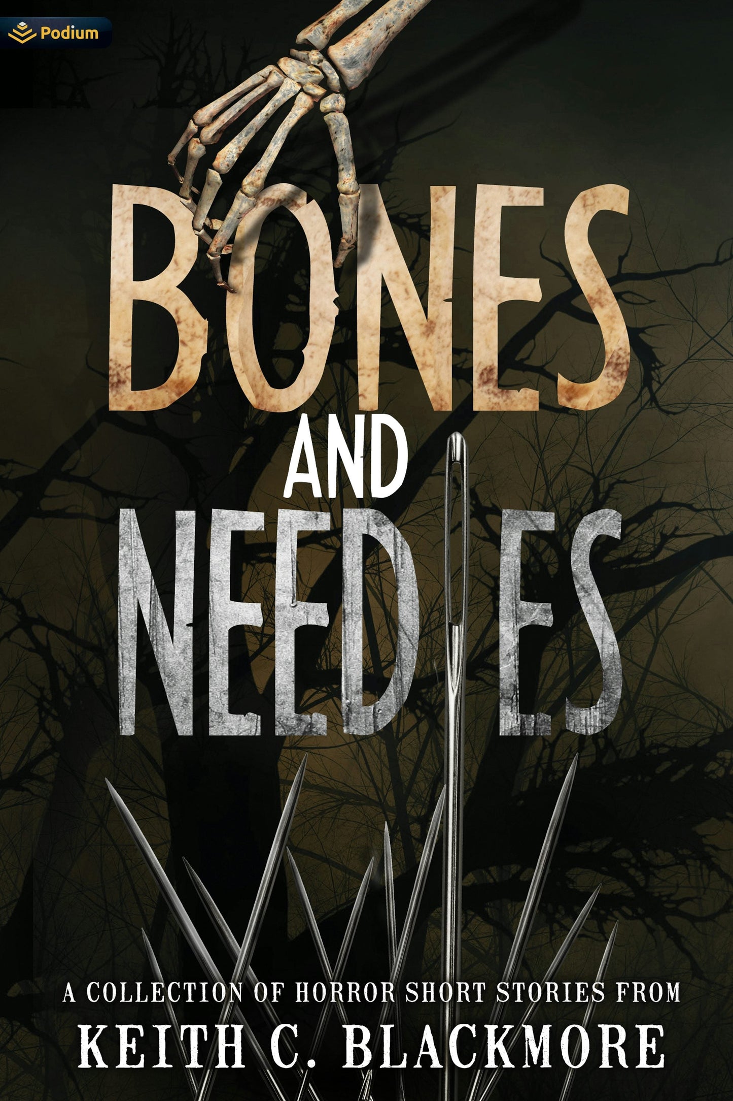 Book cover image for Bones and Needles ISBN: 9781039483552