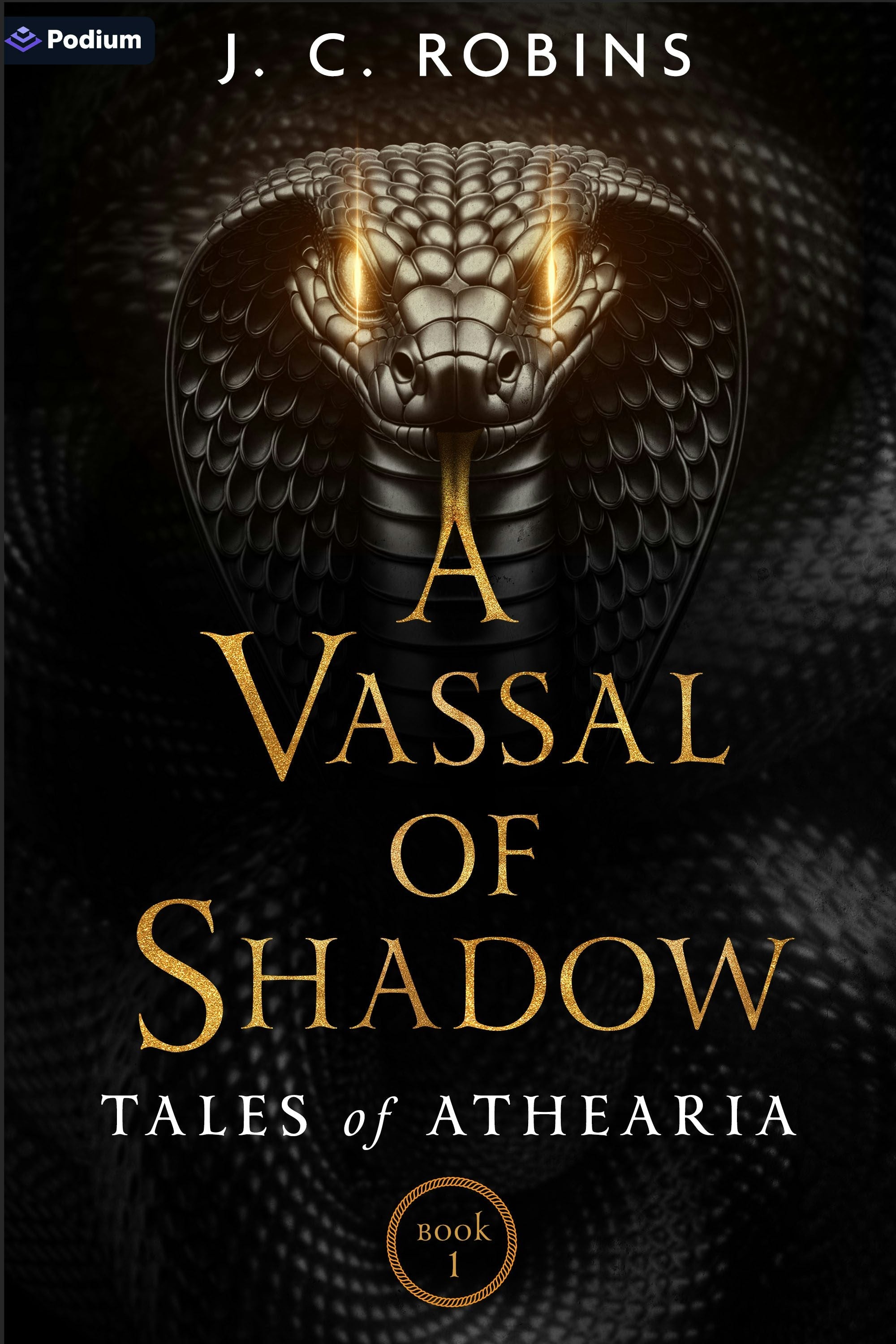 Book cover image for A Vassal of Shadow ISBN: 9781039485983