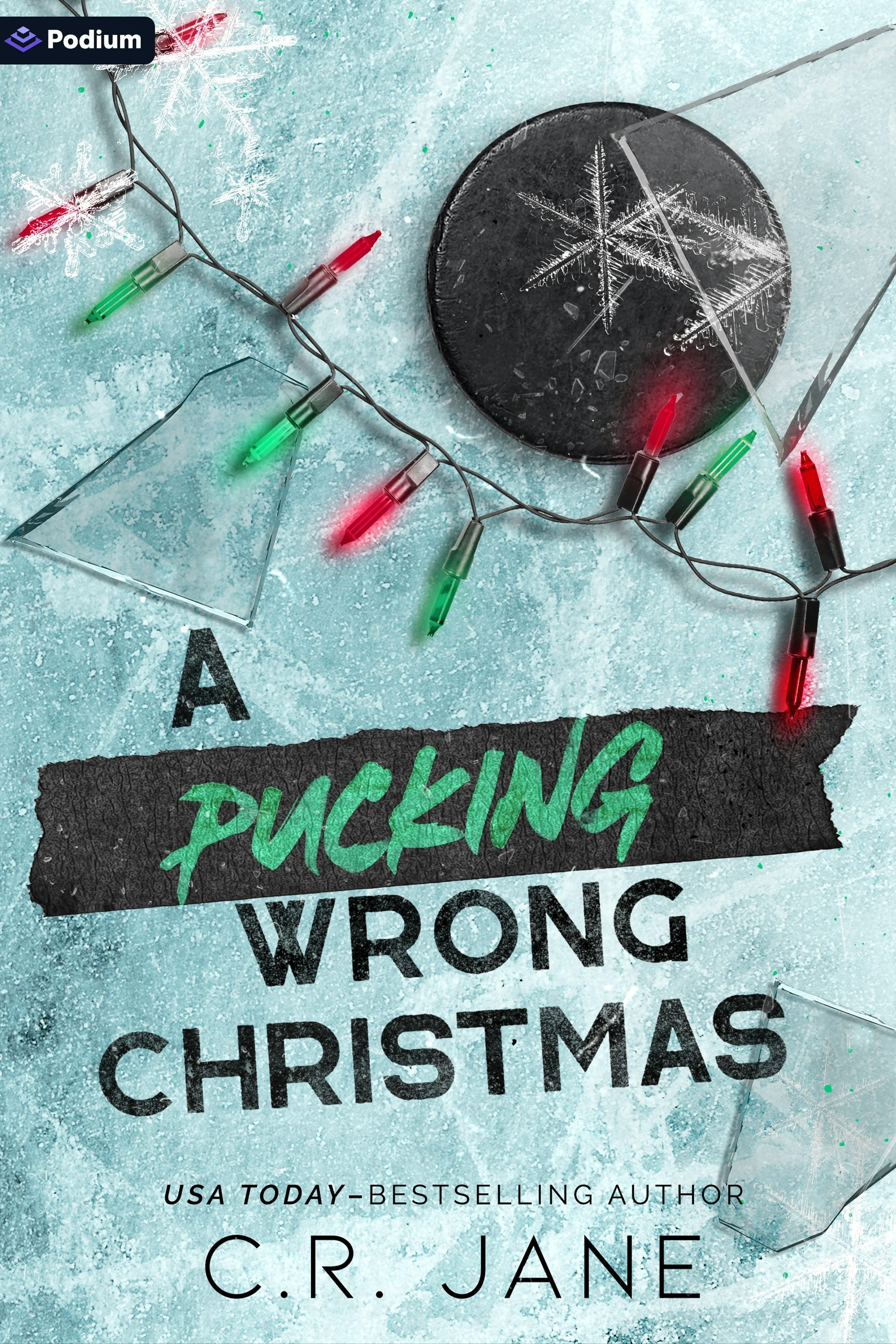 Book cover image for A Pucking Wrong Christmas ISBN: 9781039486508