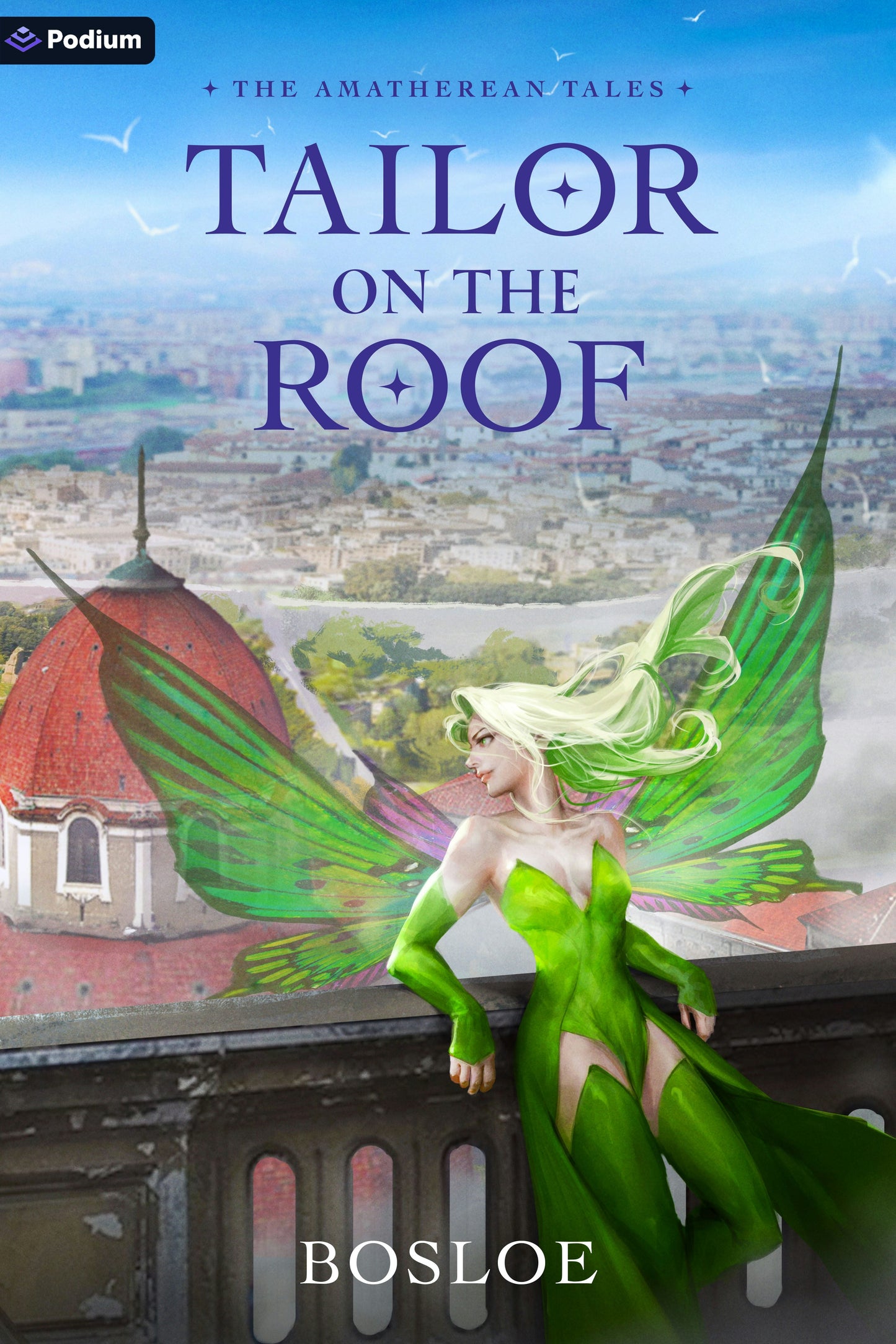 Book cover image for Tailor on the Roof ISBN: 9781039493735