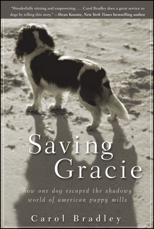 Book cover image for Saving Gracie ISBN: 9781118012277