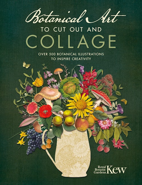 Book cover image for Botanical Art to Cut Out and Collage ISBN: 9781446309933