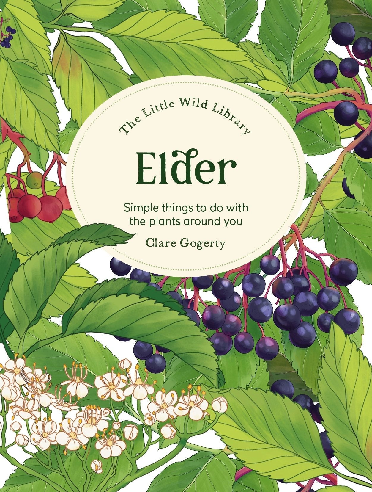 Book cover image for The Little Wild Library: Elder ISBN: 9781446313749