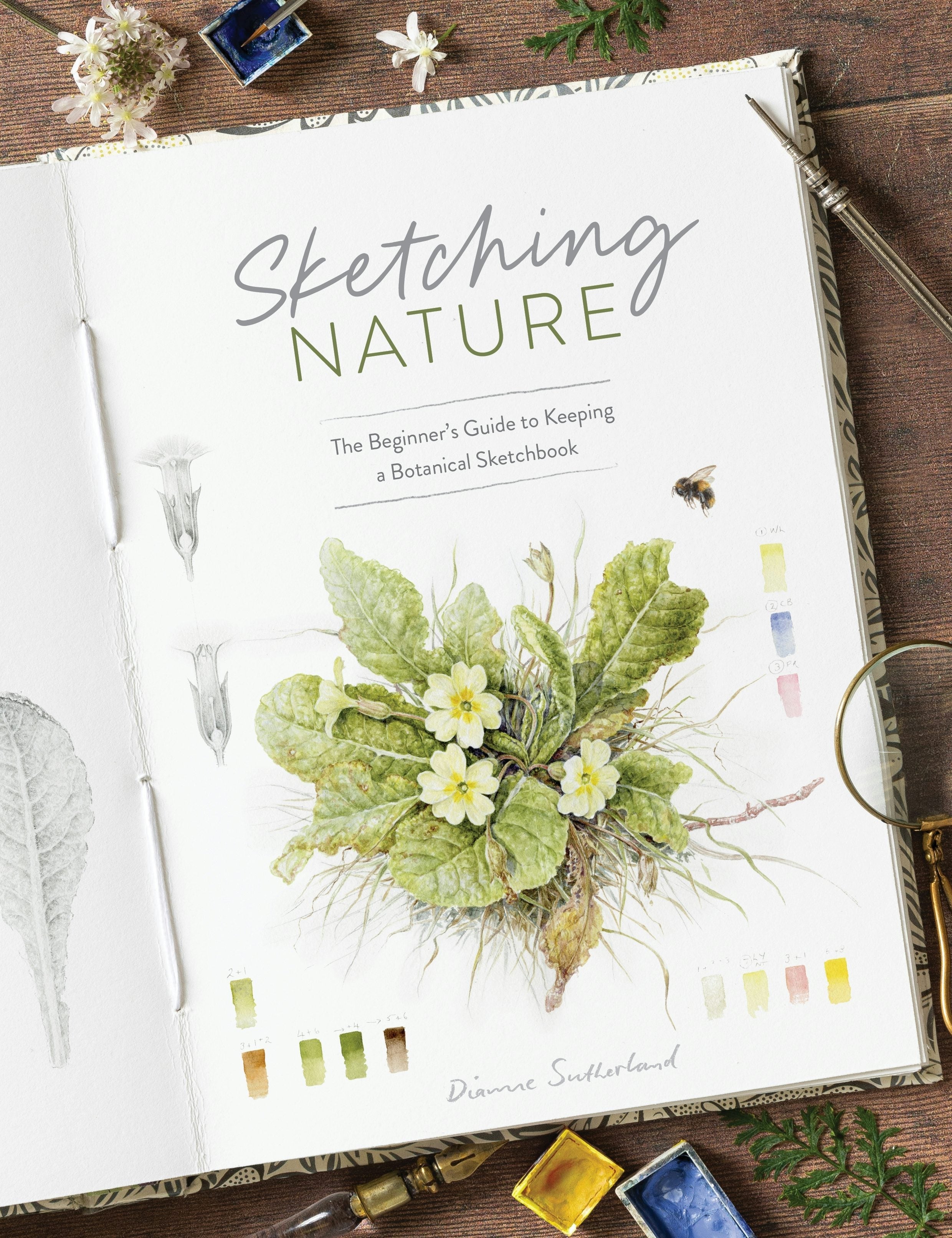 Book cover image for Sketching Nature ISBN: 9781446314098