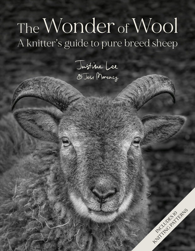 Cover image for The Wonder of Wool, isbn: 9781446315477