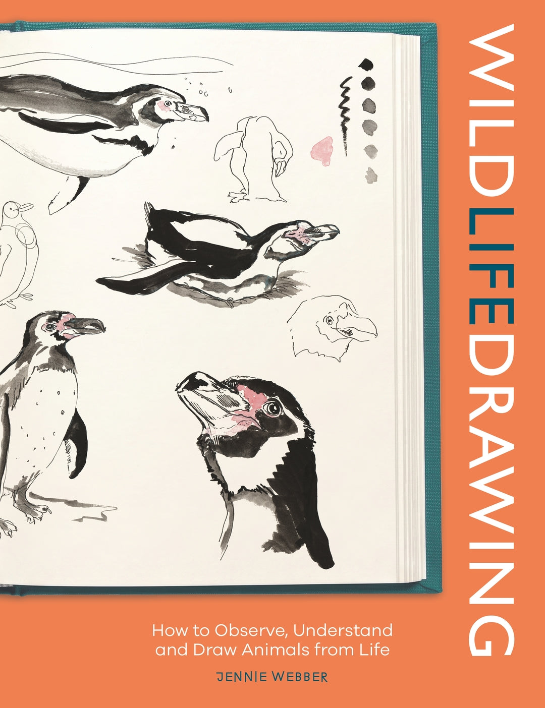 Wild Life Drawing