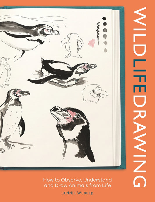 Wild Life Drawing